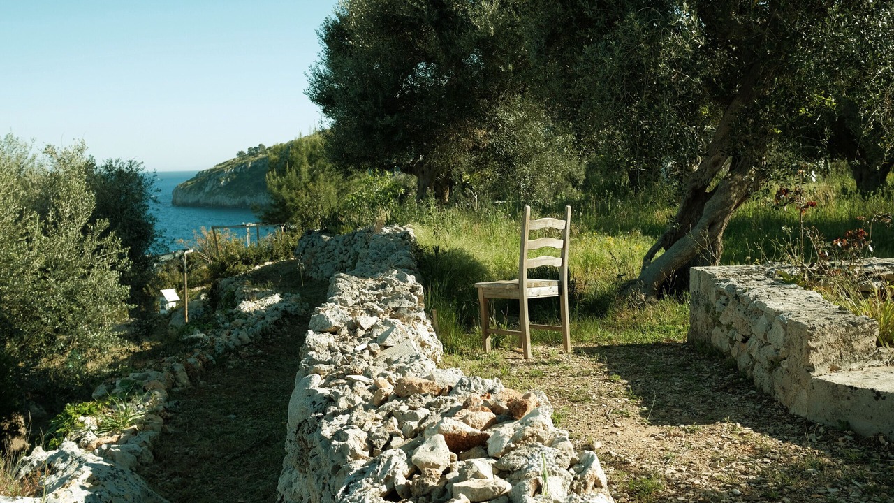 Photo of Others in Marina Serra