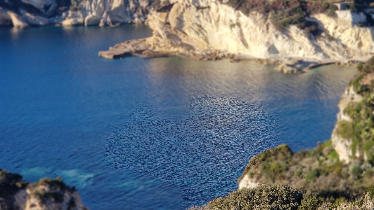 Photo of Others in Le Forna