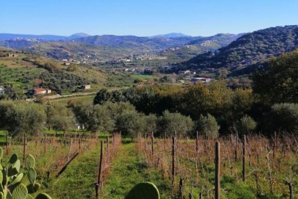 Photo of Others in Laureana Cilento