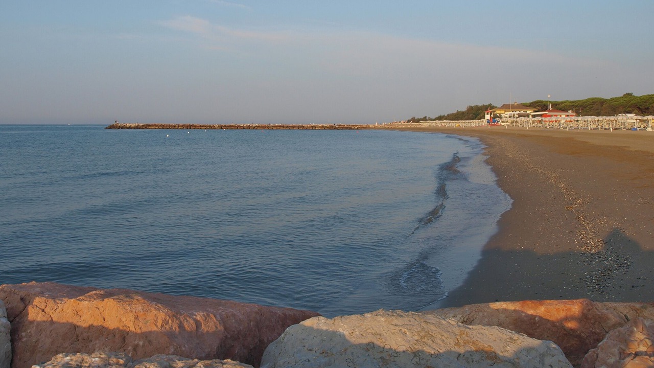 Photo of Others in Jesolo Pineta