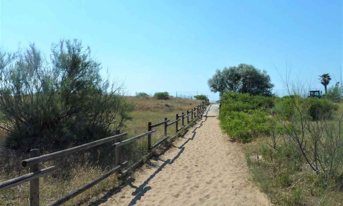 Photo of Others in Jesolo Pineta