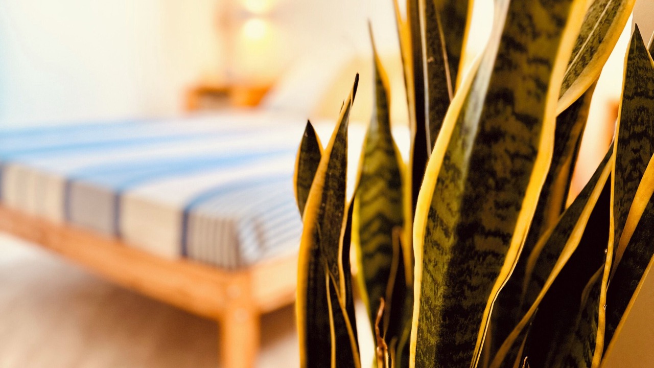 Photo of Bedroom in Fiumicino