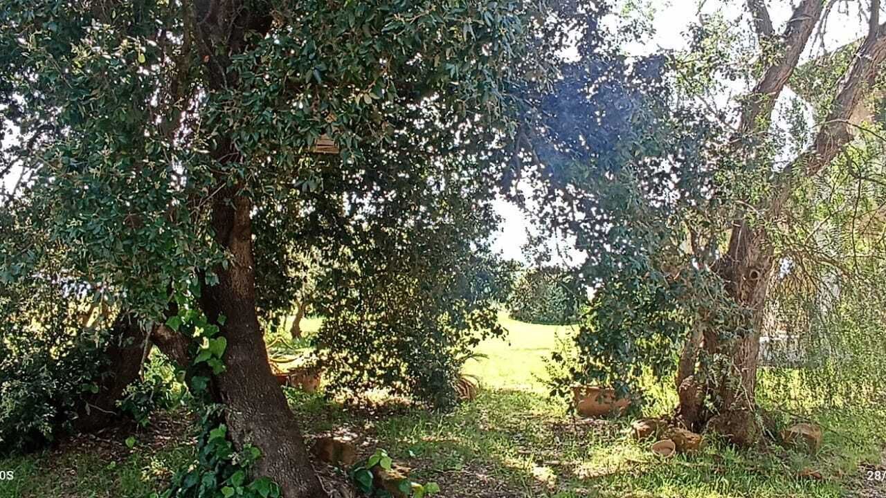 Photo of Outdoor in Orbetello