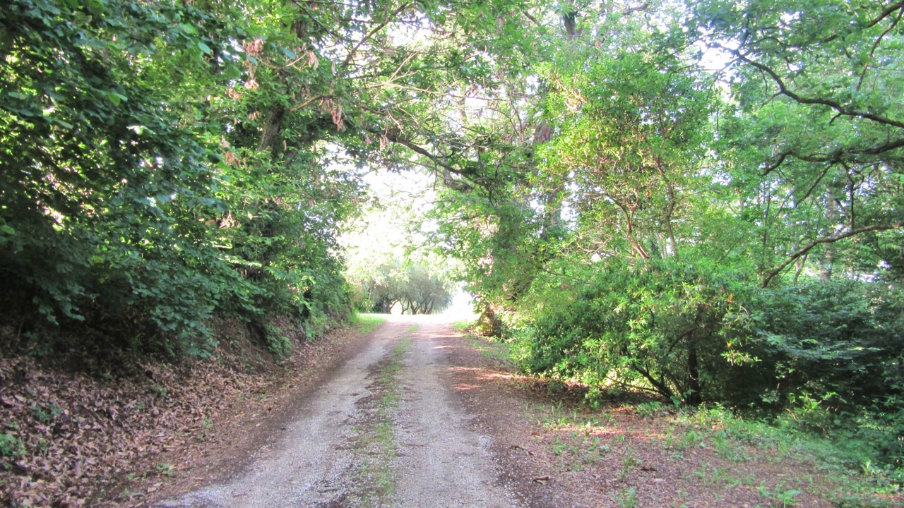 Photo of Others in Capranica