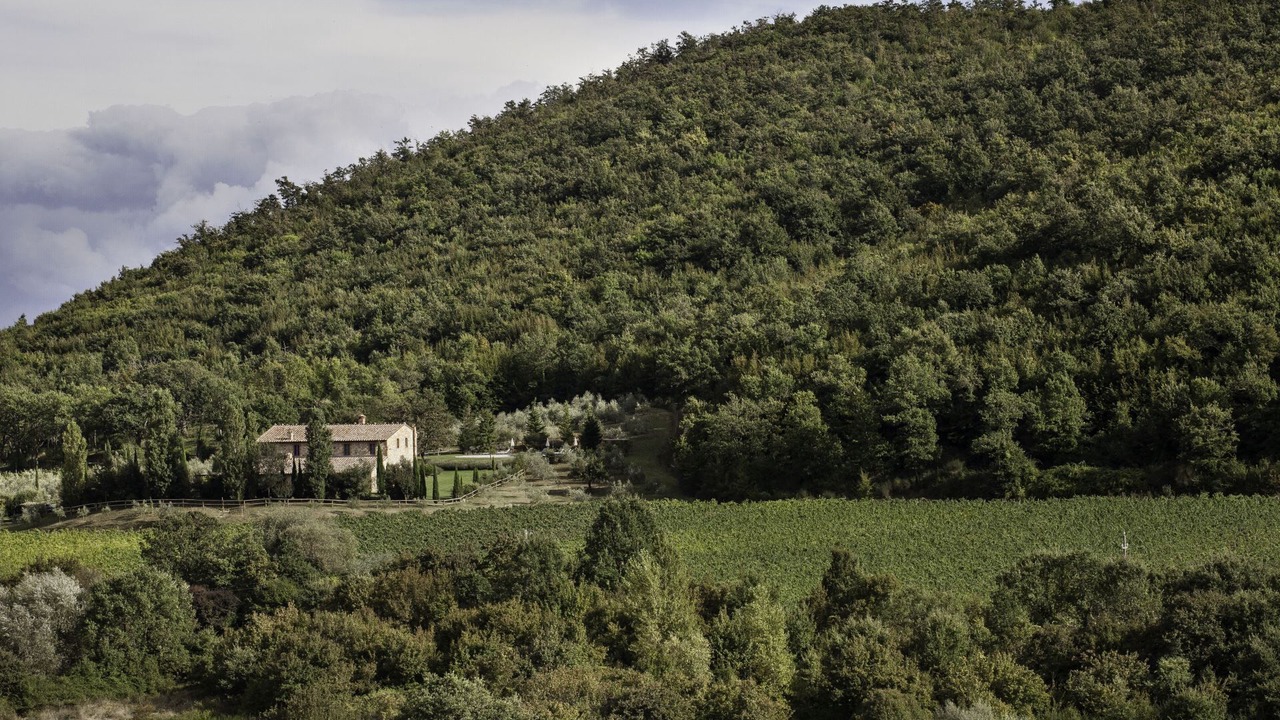 Photo of Outdoor in Montepulciano