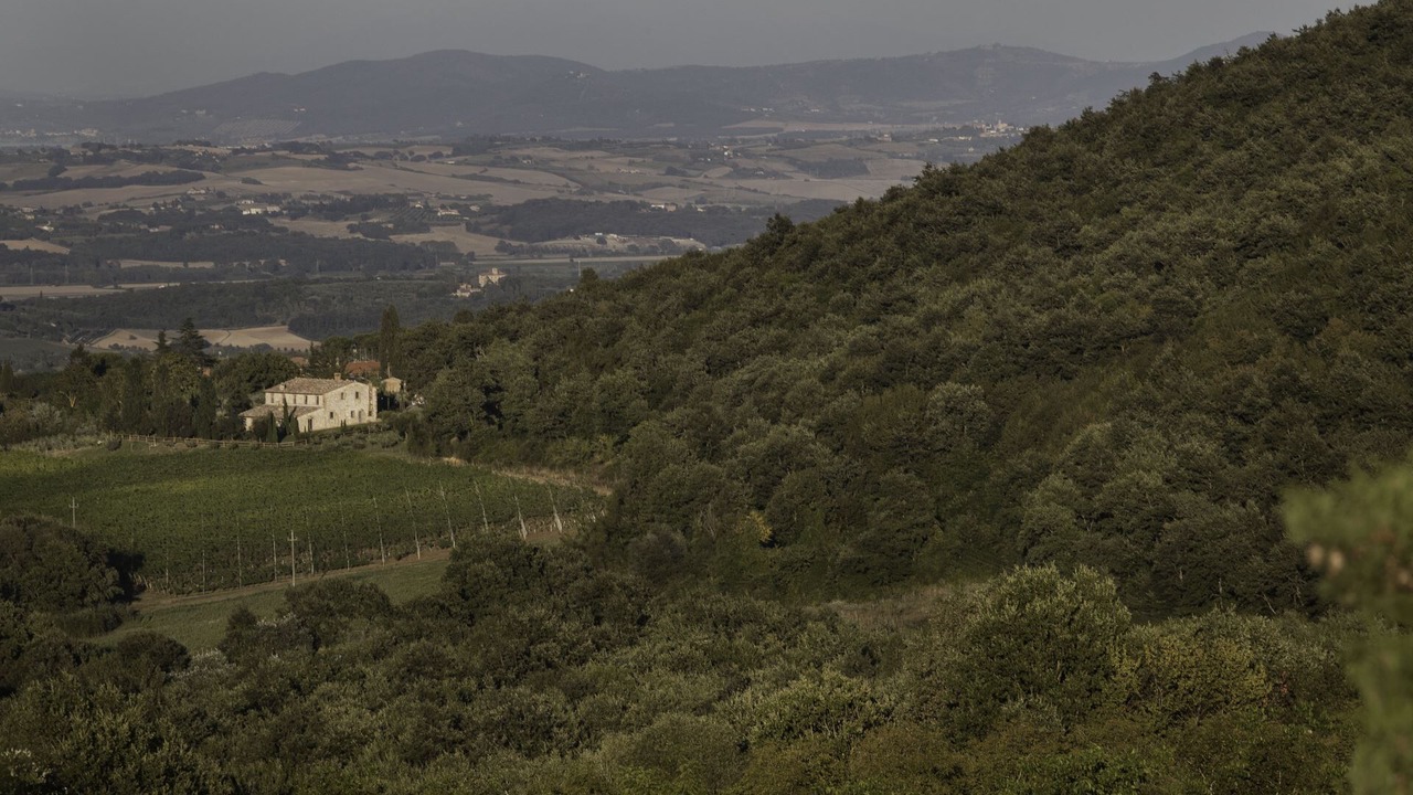 Photo of Outdoor in Montepulciano
