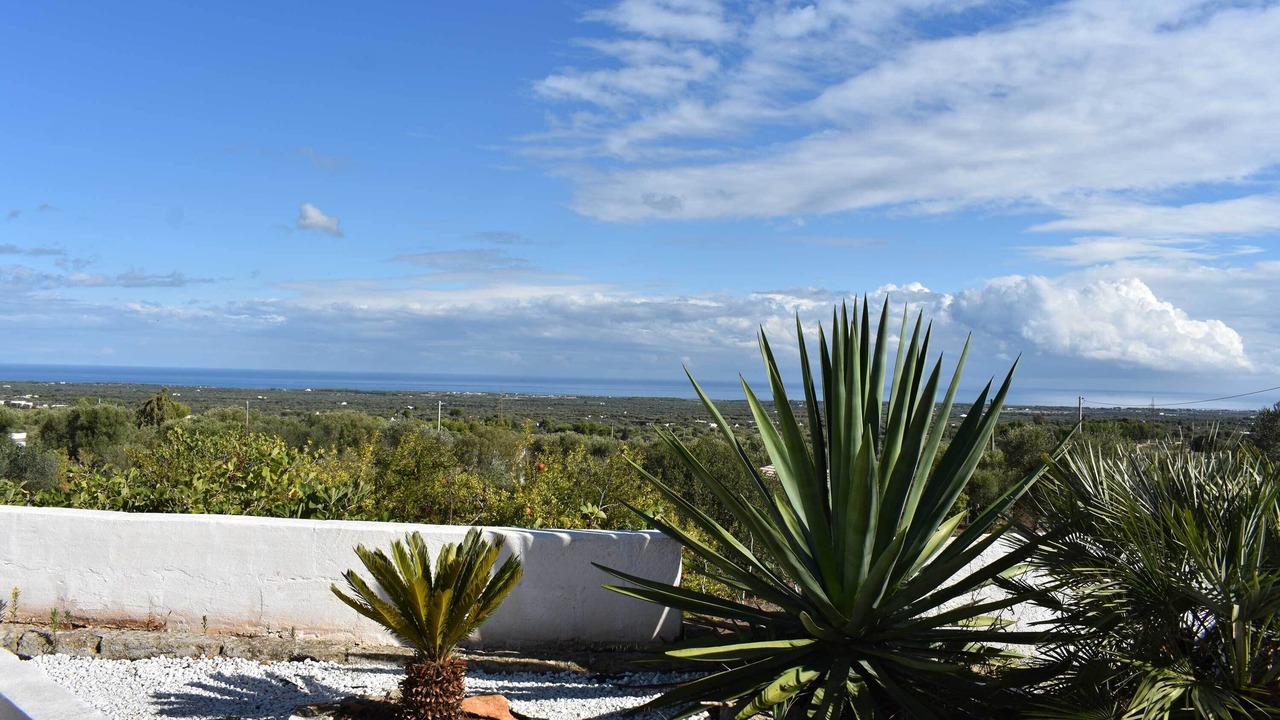 Photo of Outdoor in Ostuni