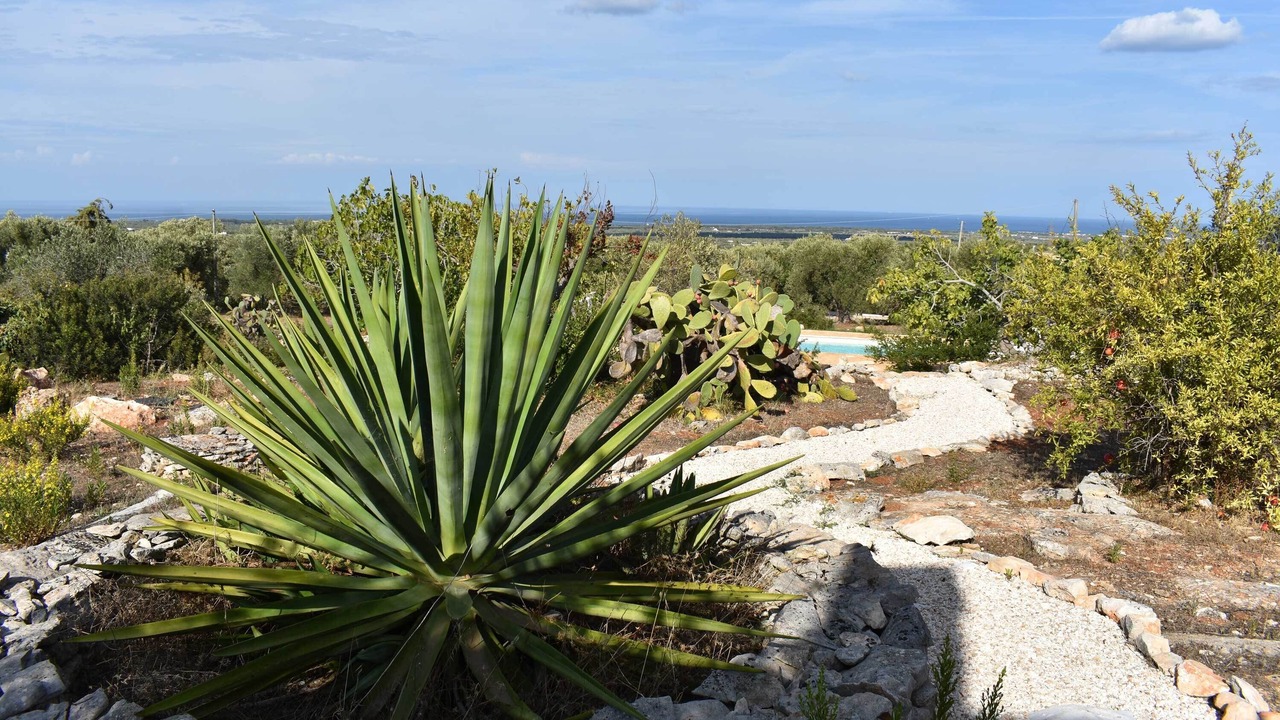 Photo of Outdoor in Ostuni