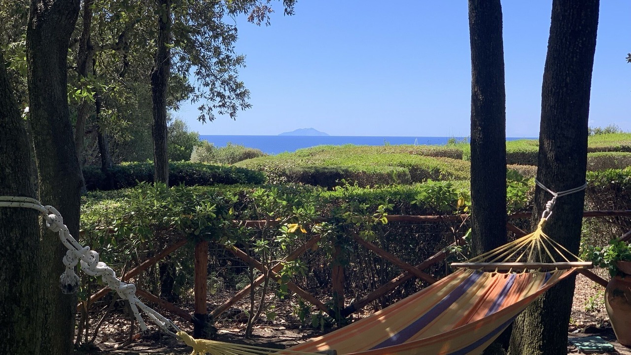 Photo of Outdoor in Punta Ala