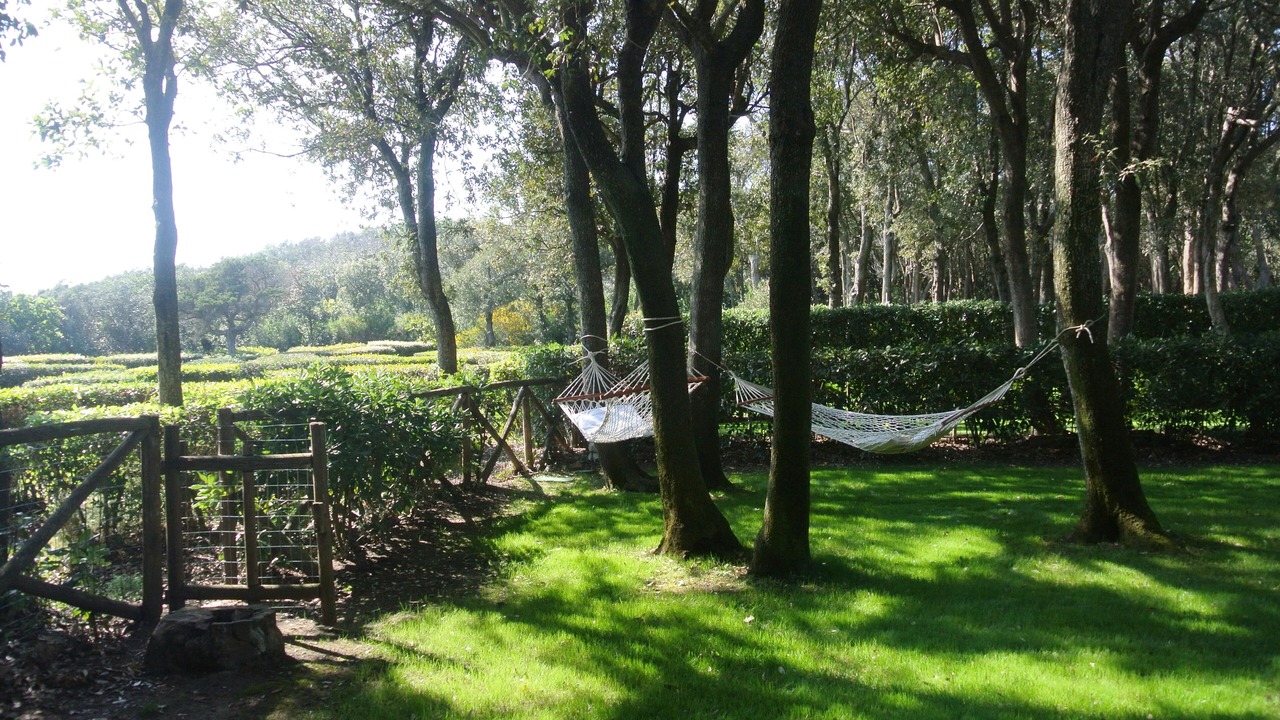 Photo of Outdoor in Punta Ala