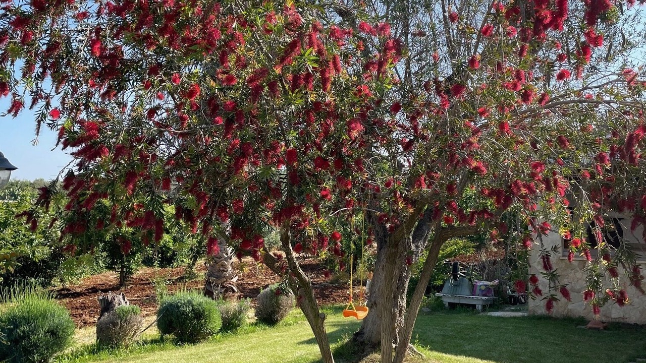 Photo of Outdoor in San Michele Salentino