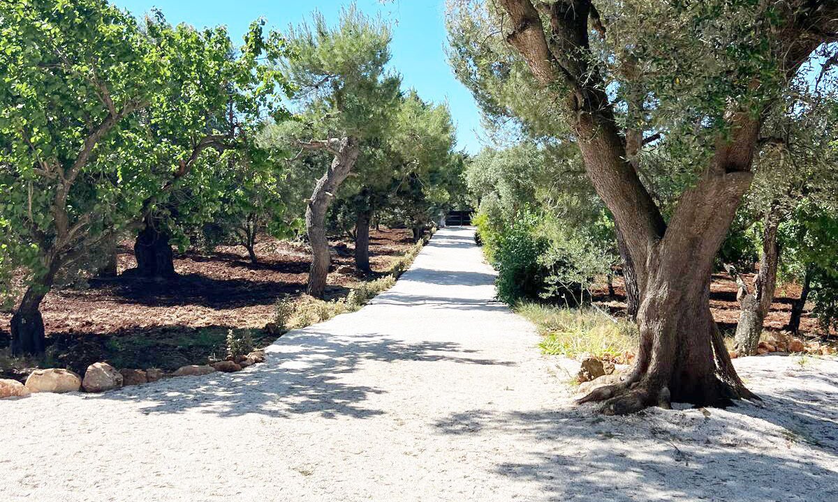 Photo of Outdoor in Villa Castelli