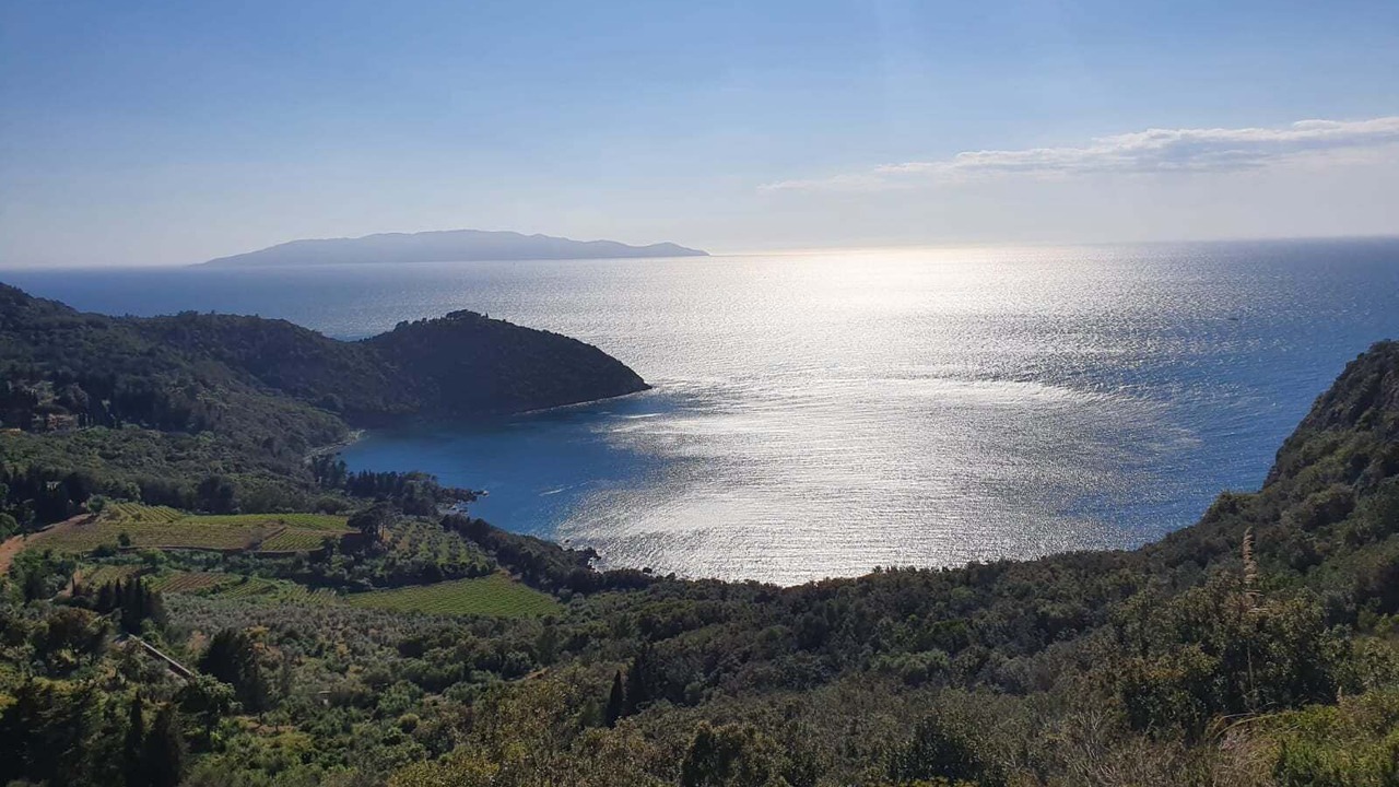 Photo of Outdoor in Porto Santo Stefano