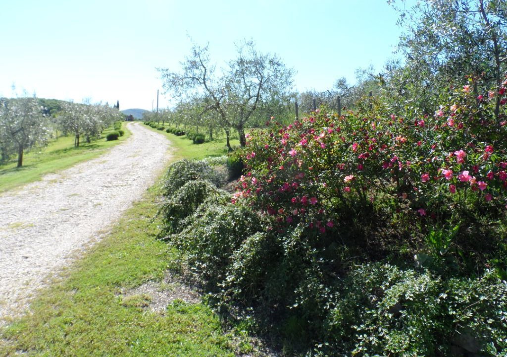 Photo of Outdoor in Collelungo