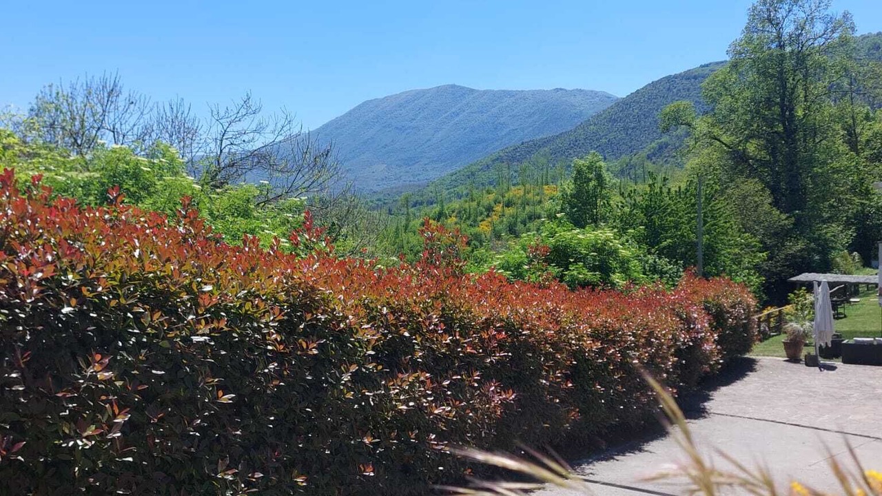 Photo of Outdoor in Montelanico