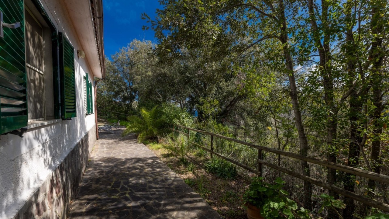 Photo of Others in Capoliveri