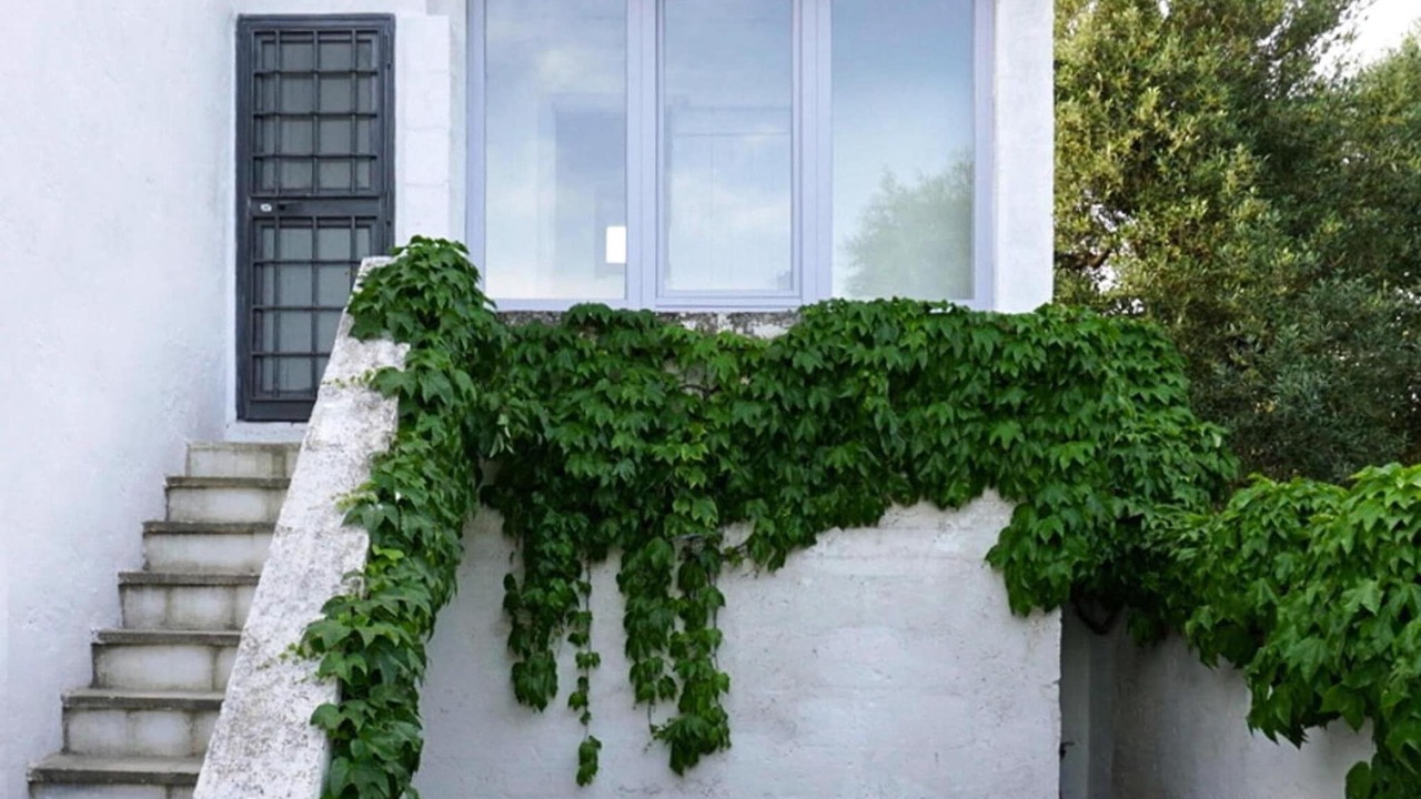 Photo of Outdoor in Ostuni