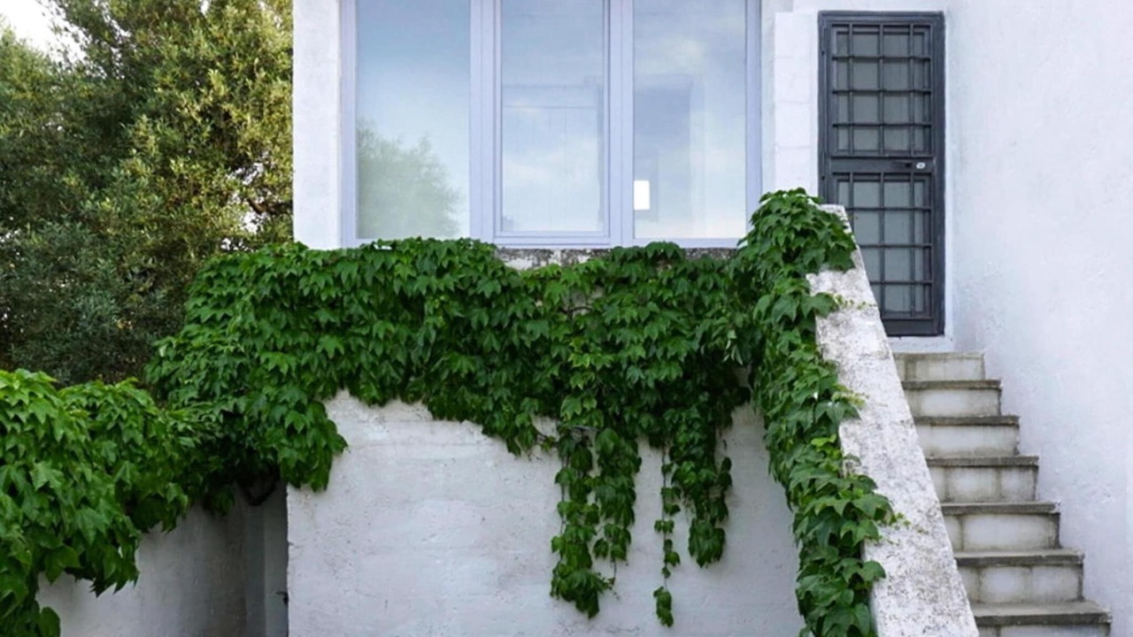 Photo of Outdoor in Ostuni