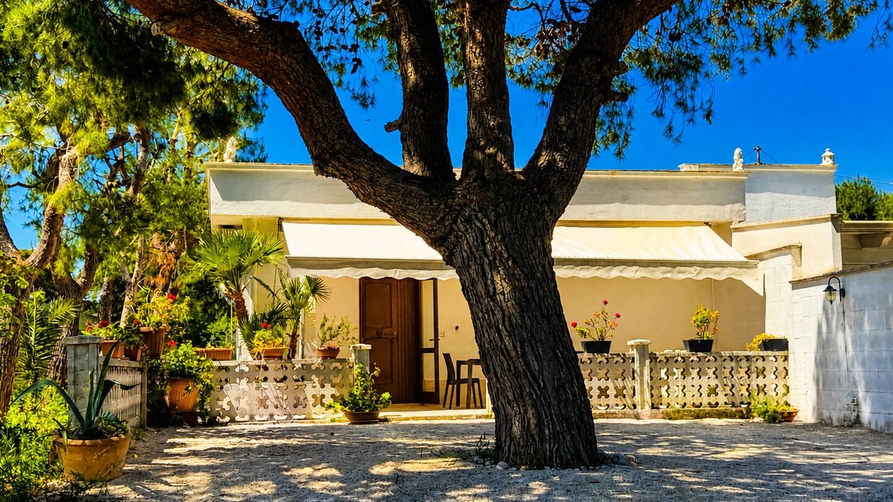Photo of Outdoor in Trani