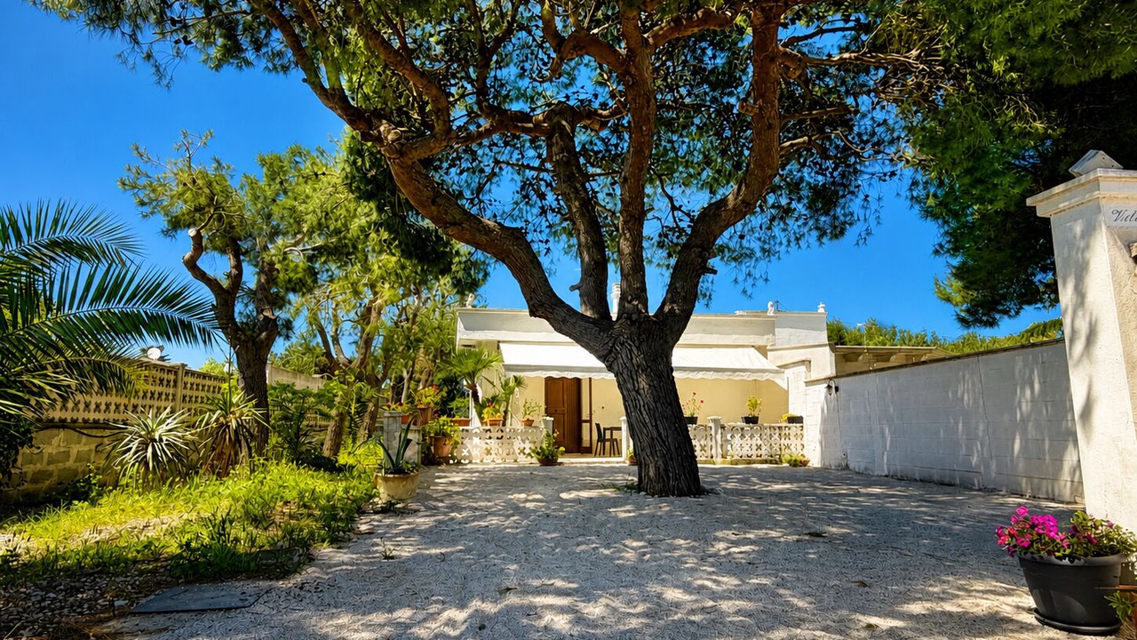 Photo of Outdoor in Trani
