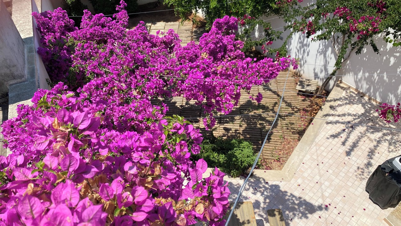Photo of Outdoor in Lizzanello