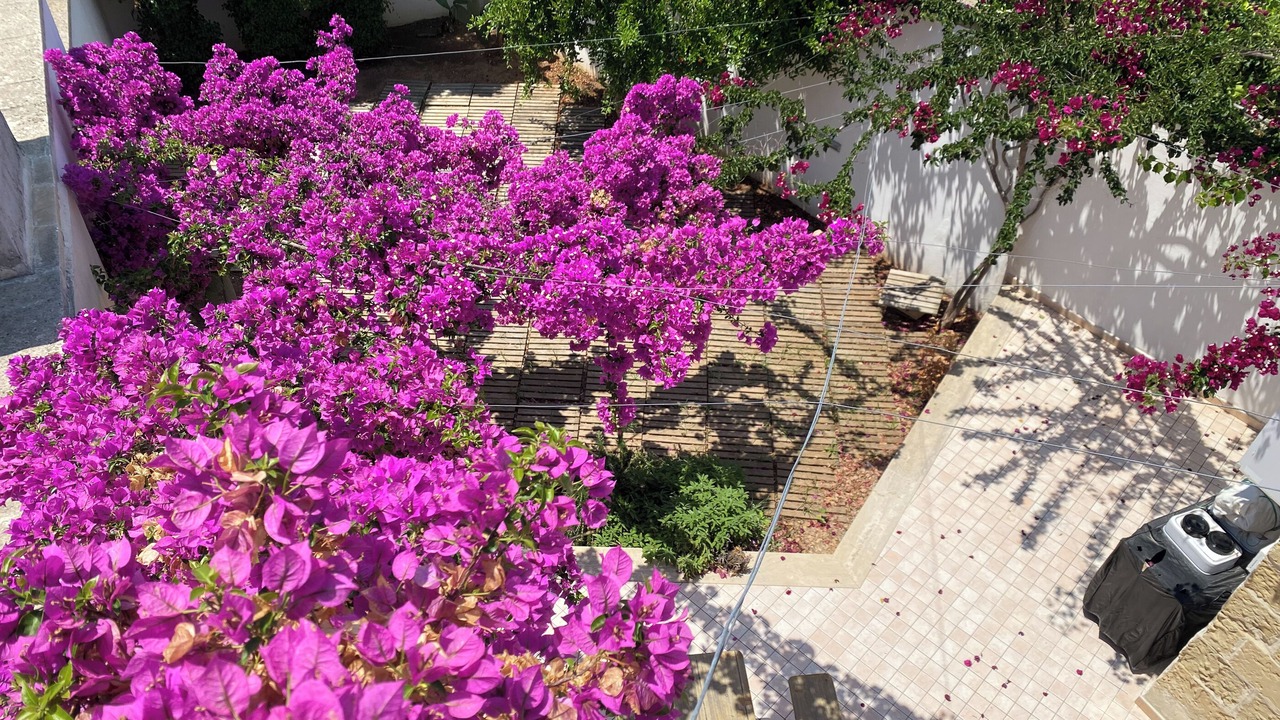 Photo of Outdoor in Lizzanello