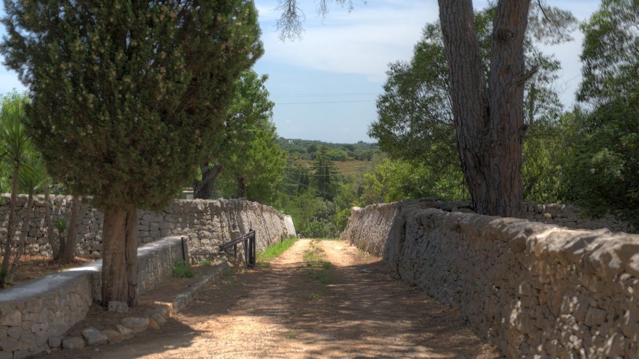 Photo of Others in Fumarola