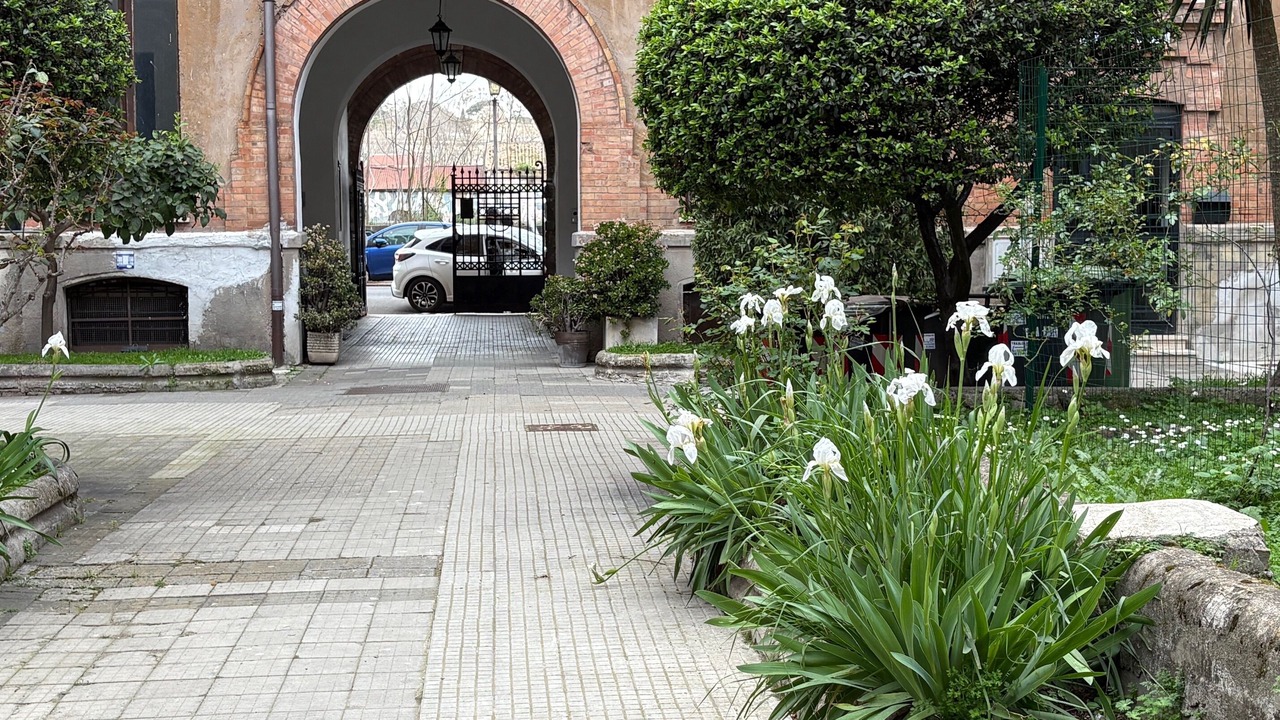 Photo of Outdoor in Testaccio