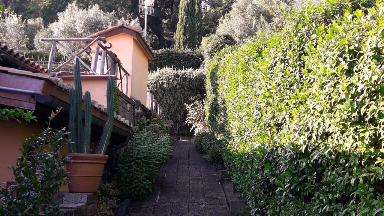 Photo of Outdoor in Lake Bracciano
