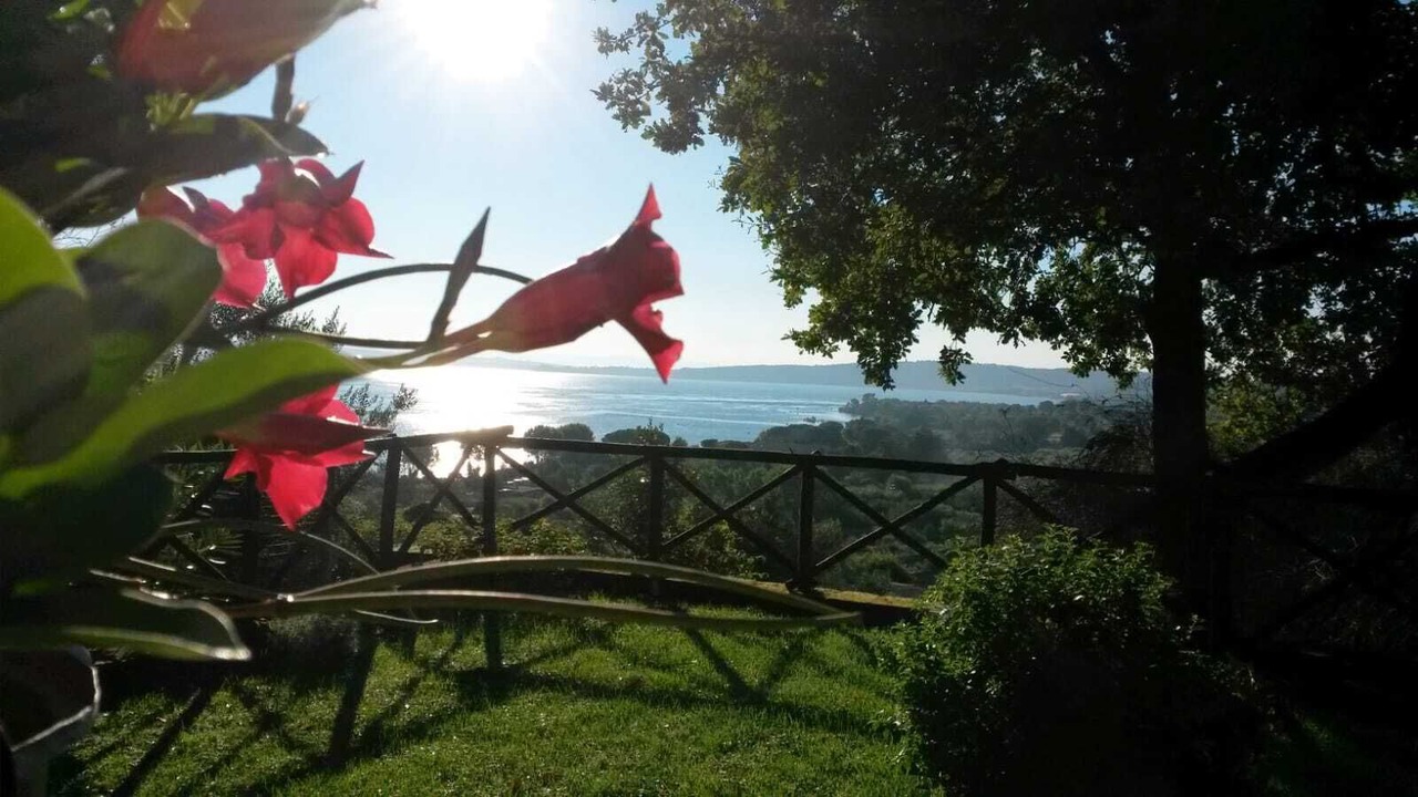 Photo of Outdoor in Lake Bracciano