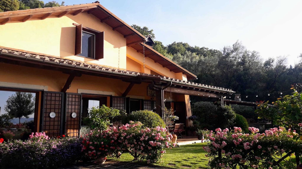 Photo of Outdoor in Lake Bracciano