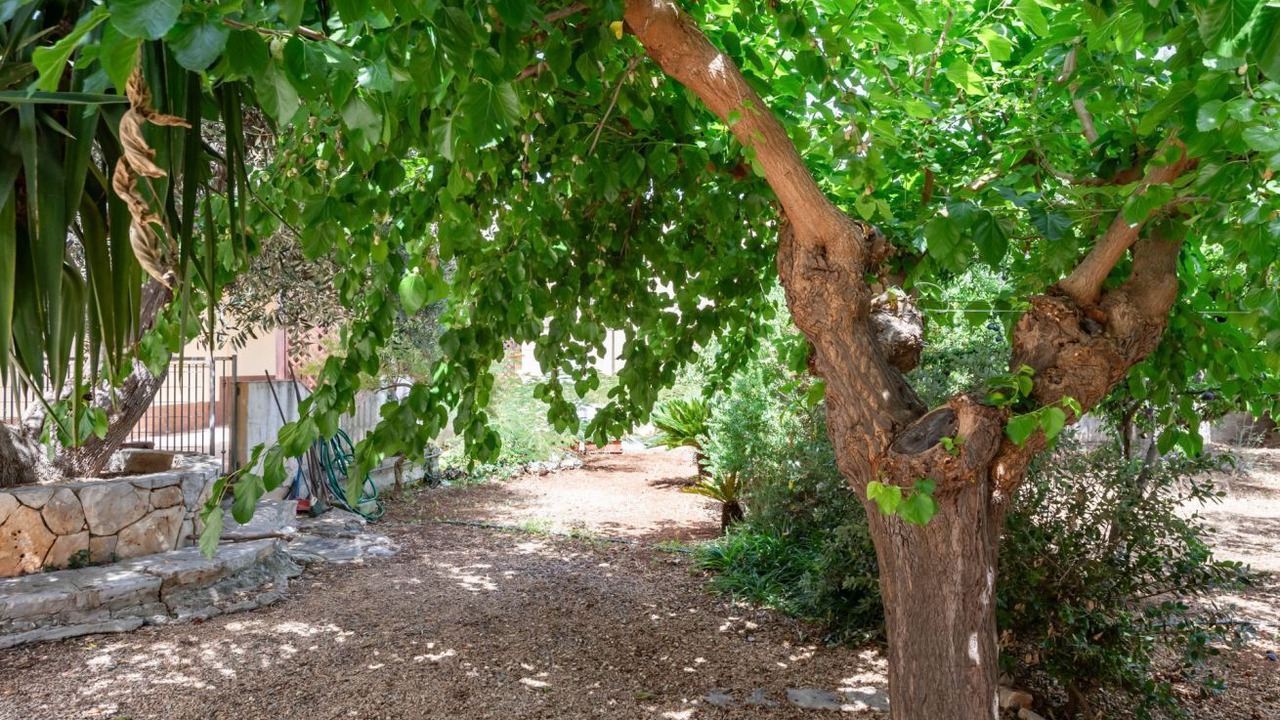 Photo of Outdoor in Montalbano