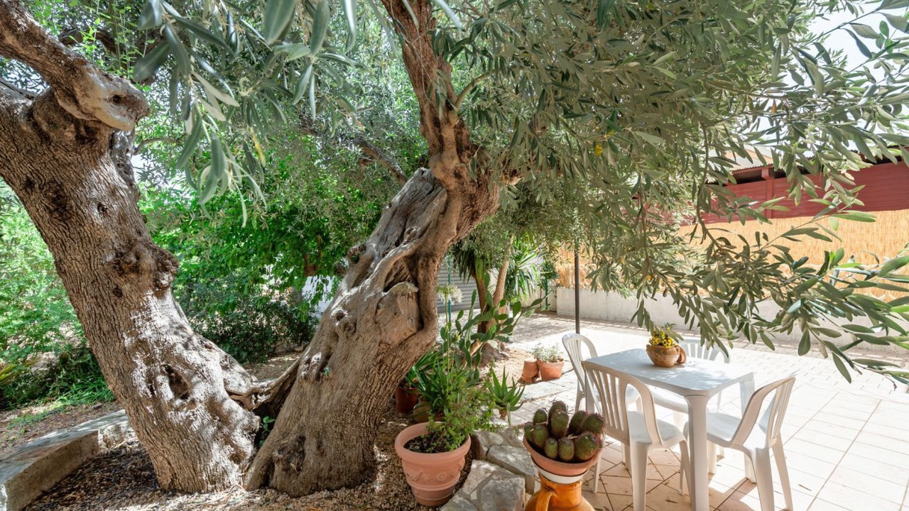 Photo of Outdoor in Montalbano