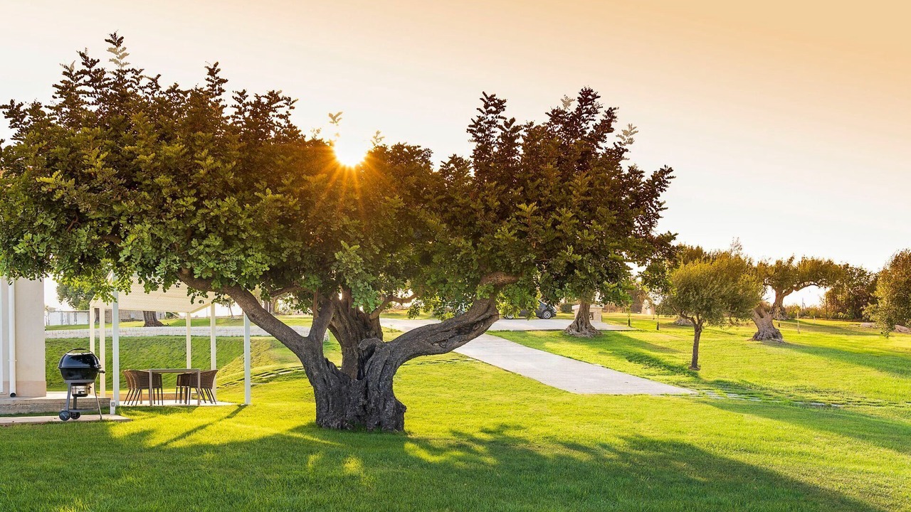 Photo of Outdoor in Noto