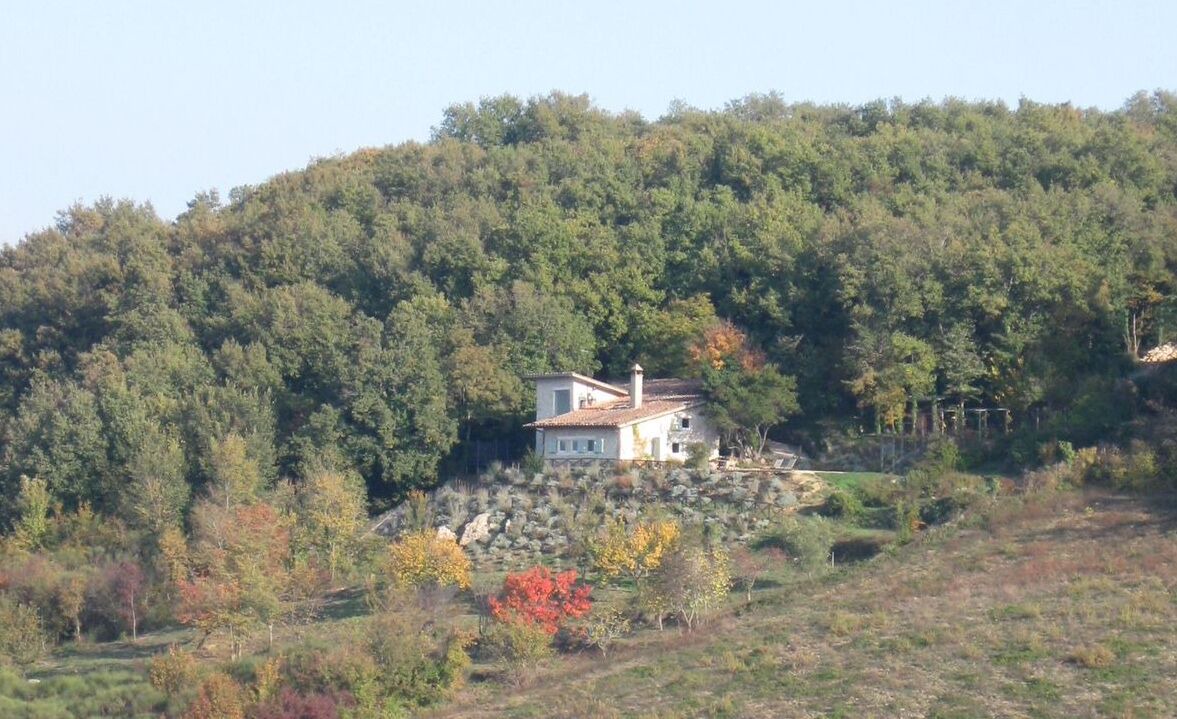 Photo of Others in Baschi
