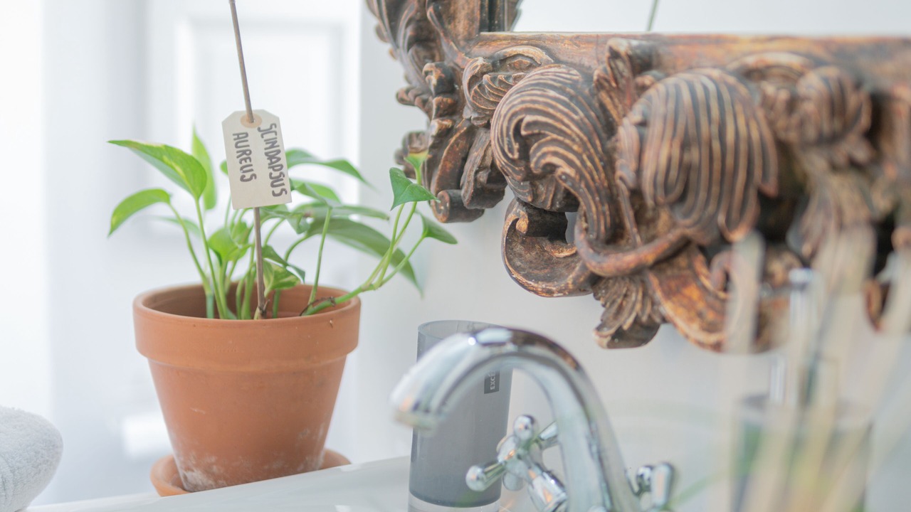 Photo of Bathroom in Gianicolense