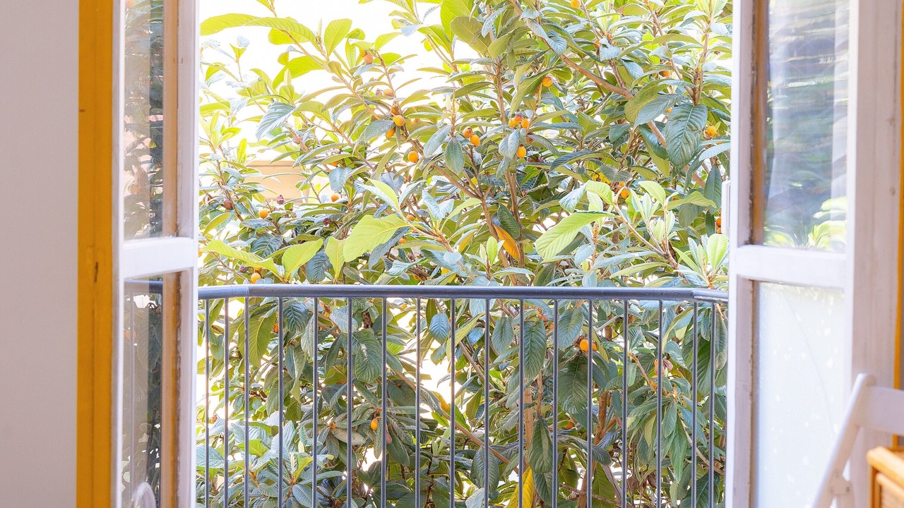 Photo of Others in Monte Sacro