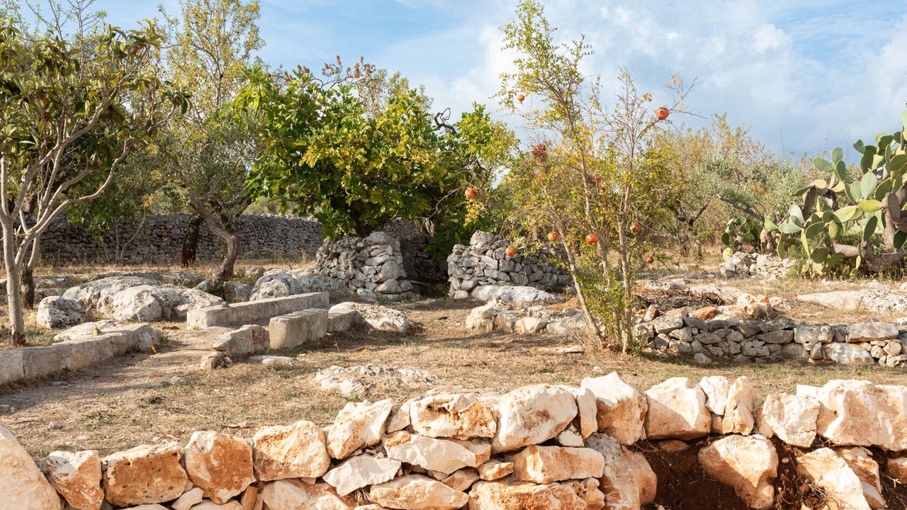 Photo of Outdoor in Fumarola