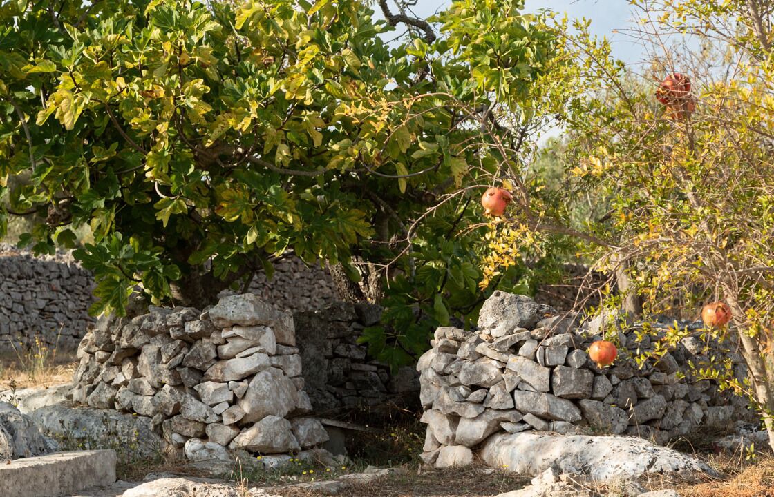 Photo of Outdoor in Fumarola