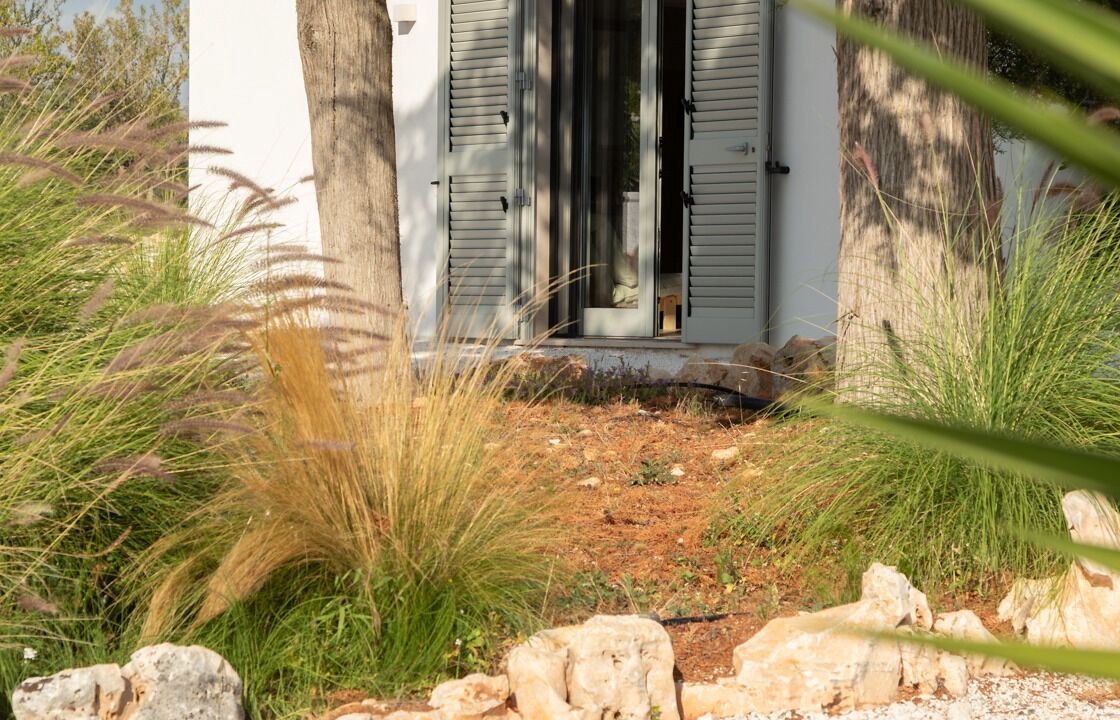 Photo of Outdoor in Fumarola