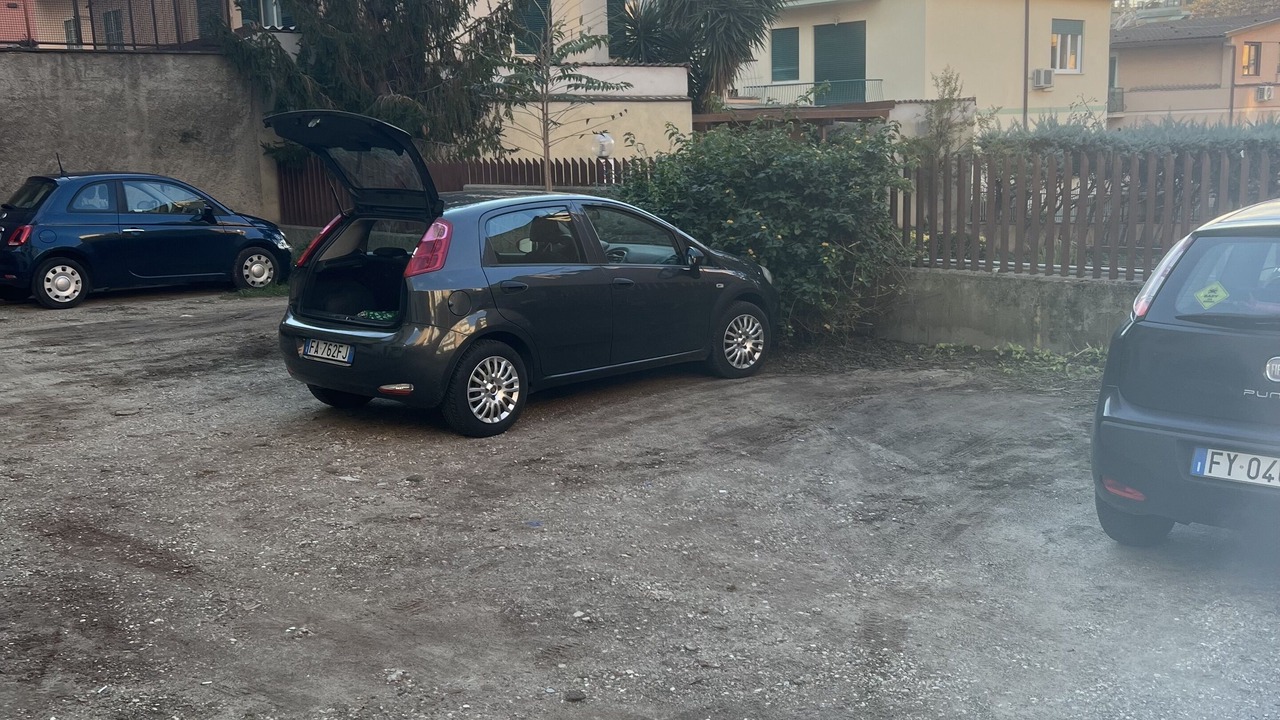 Photo of Outdoor in Aurelio