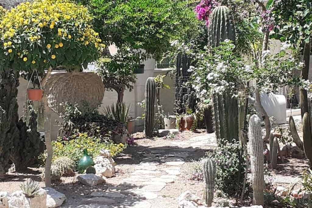 Photo of Outdoor in Specchiolla