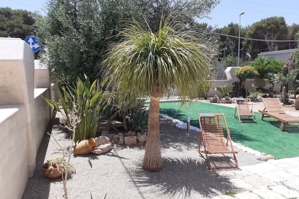 Photo of Outdoor in Specchiolla