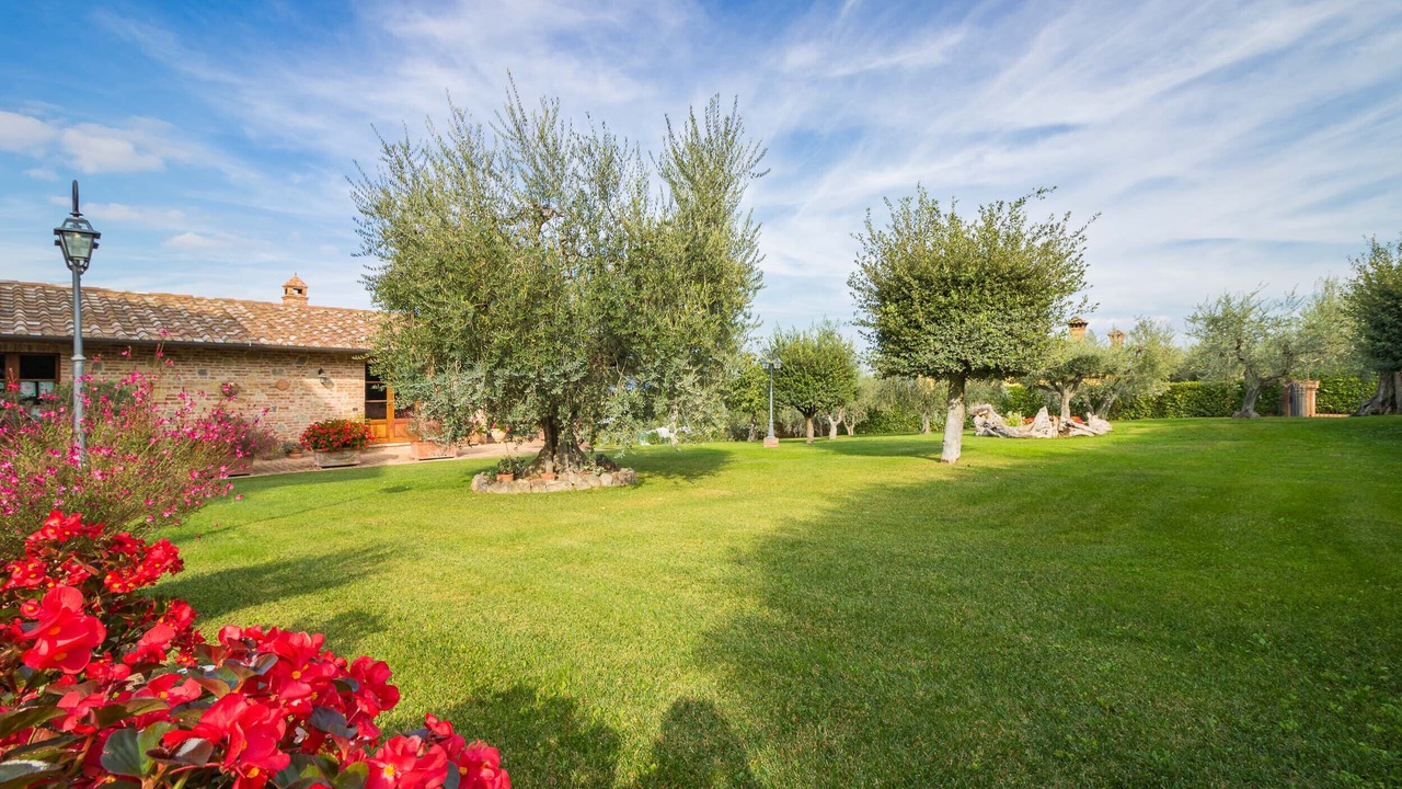 Photo of Outdoor in Castiglione del Lago