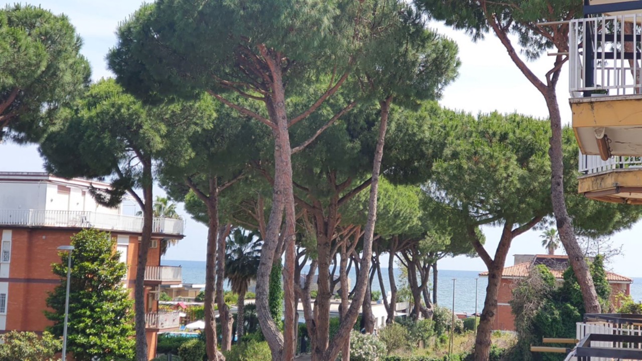 Photo of Others in Terracina