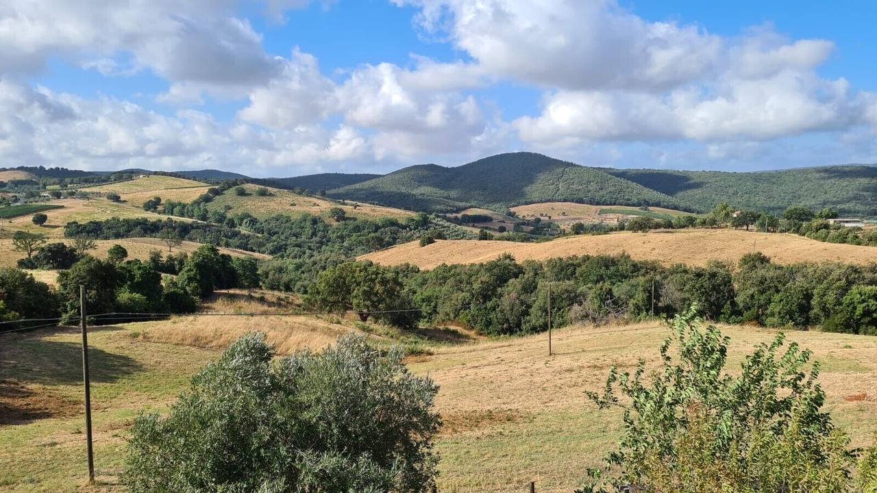 Photo of Others in Magliano in Toscana