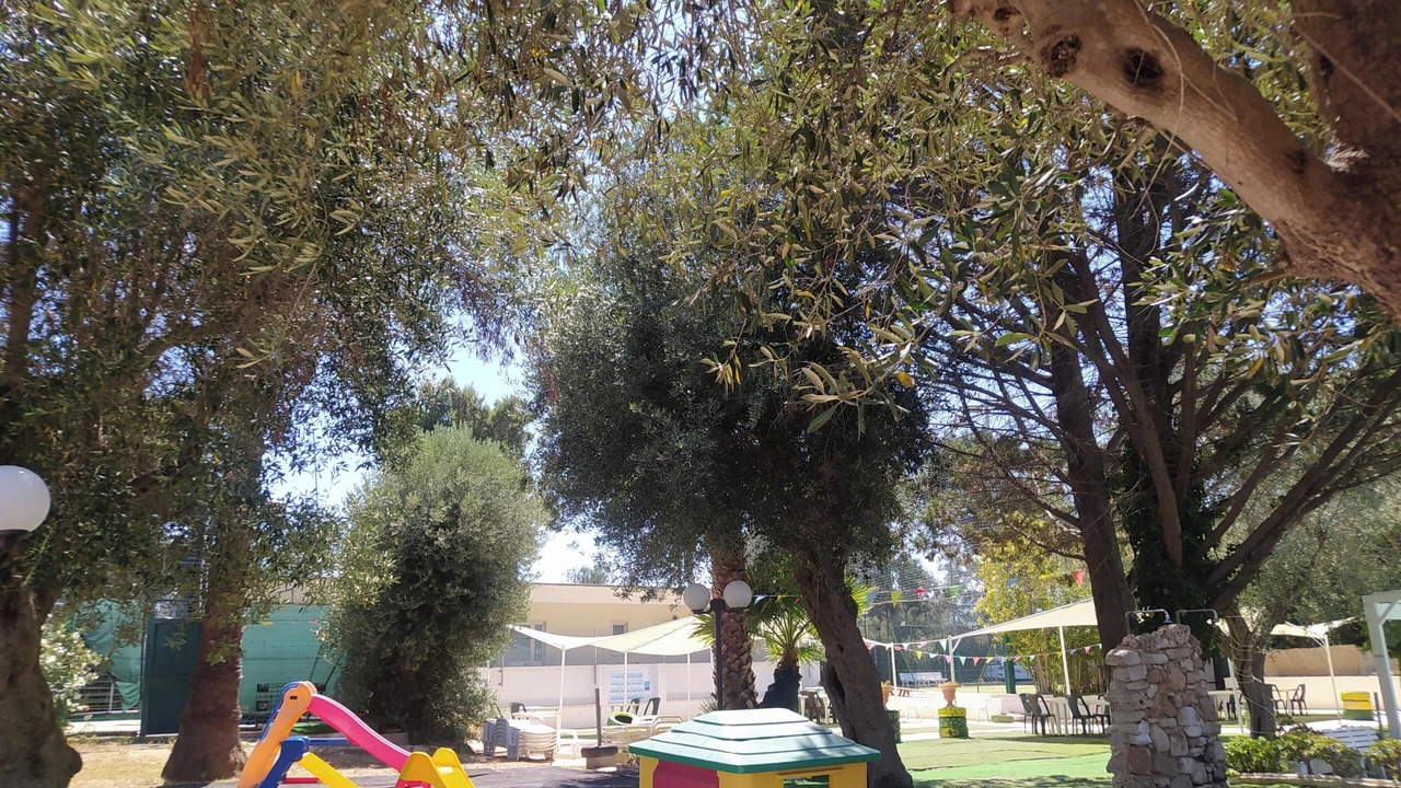 Photo of Others in Noicattaro