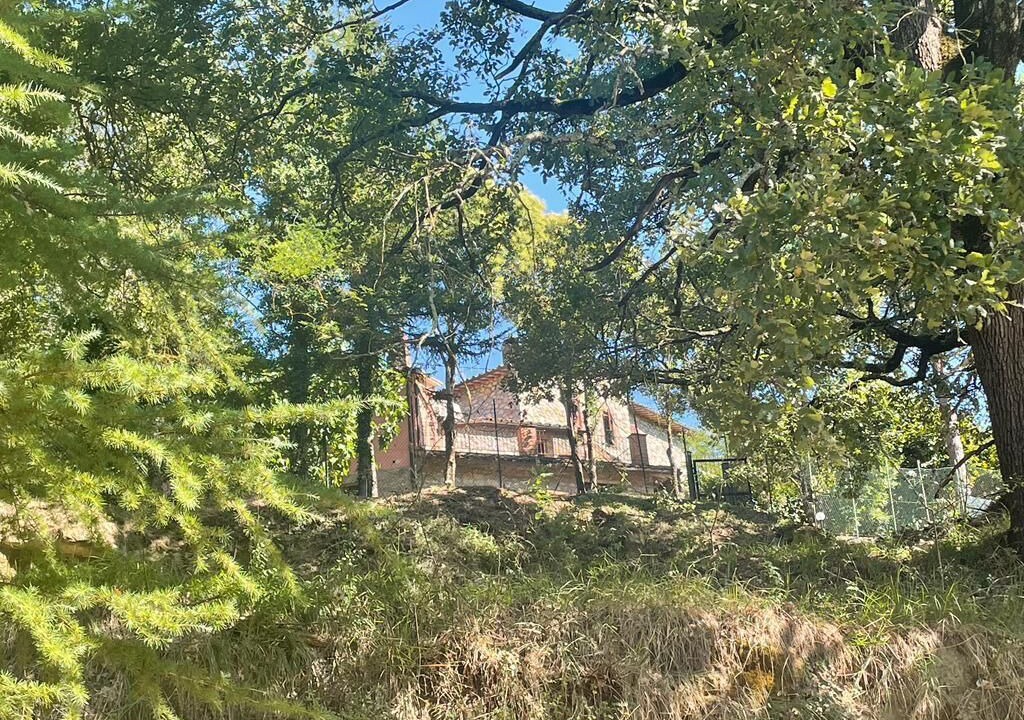 Photo of Outdoor in Ficulle