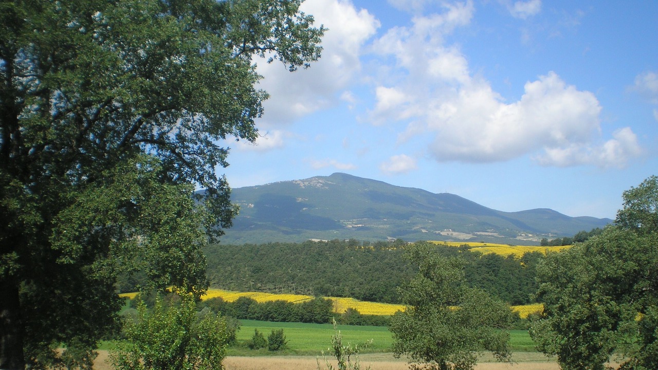 Photo of Others in Citta della Pieve