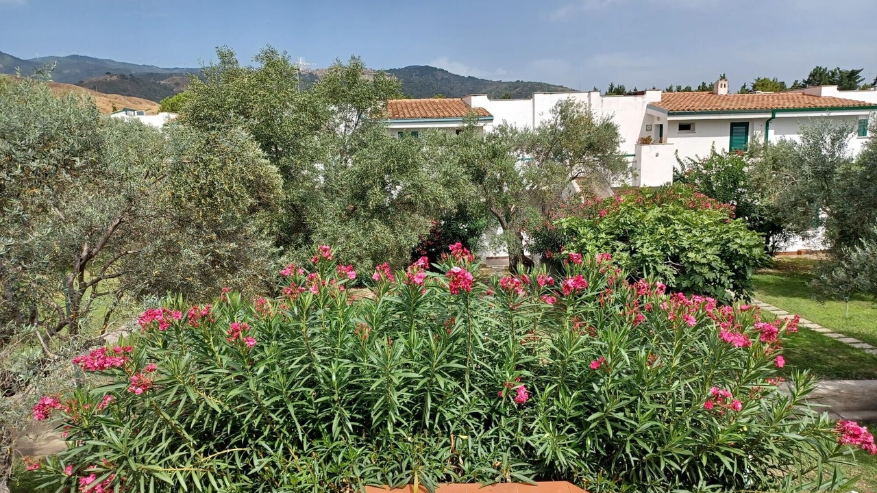 Photo of Outdoor in Isca Marina